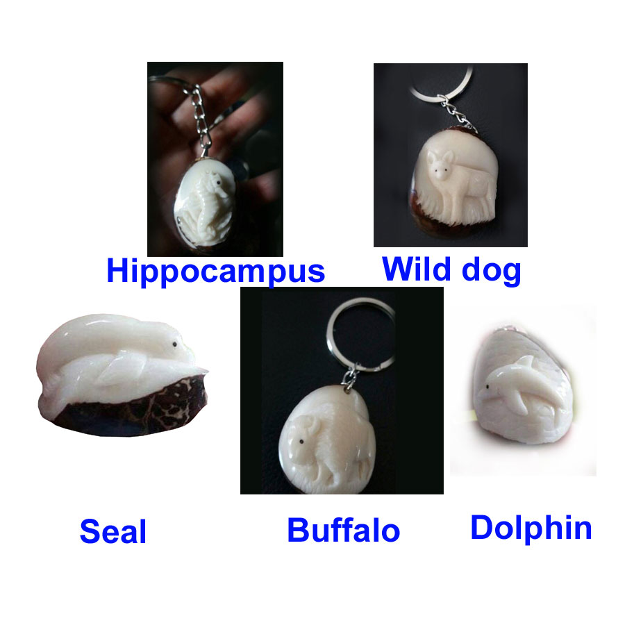 Shop product image