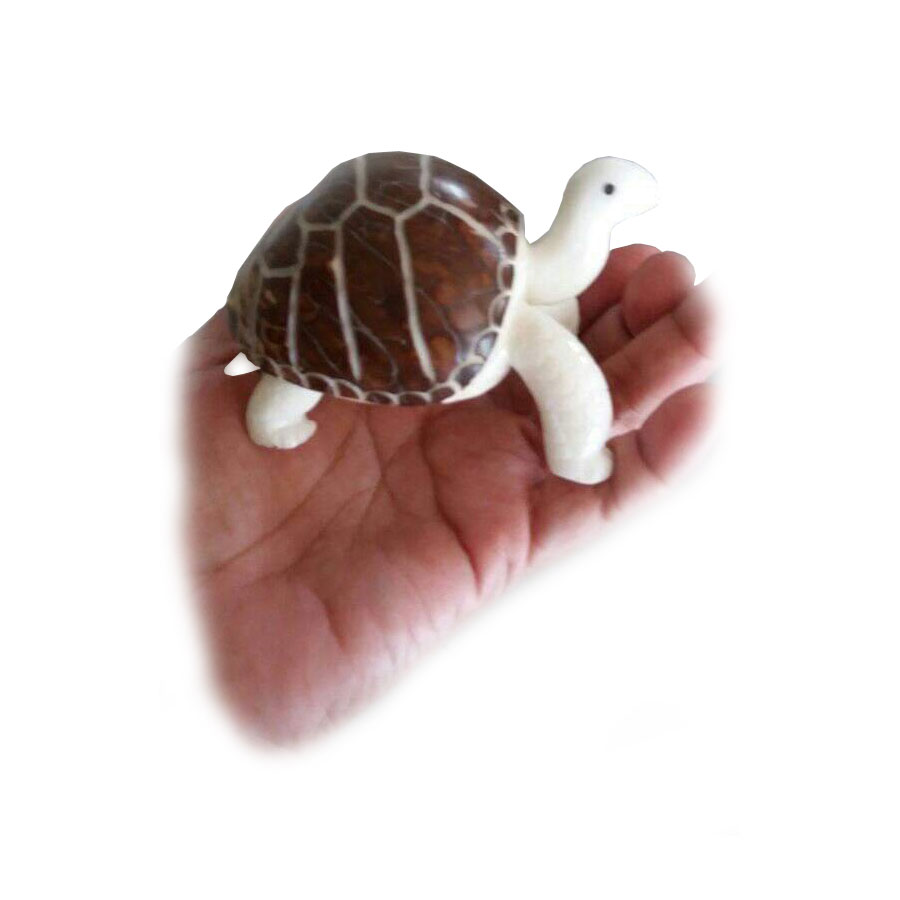 Shop product image