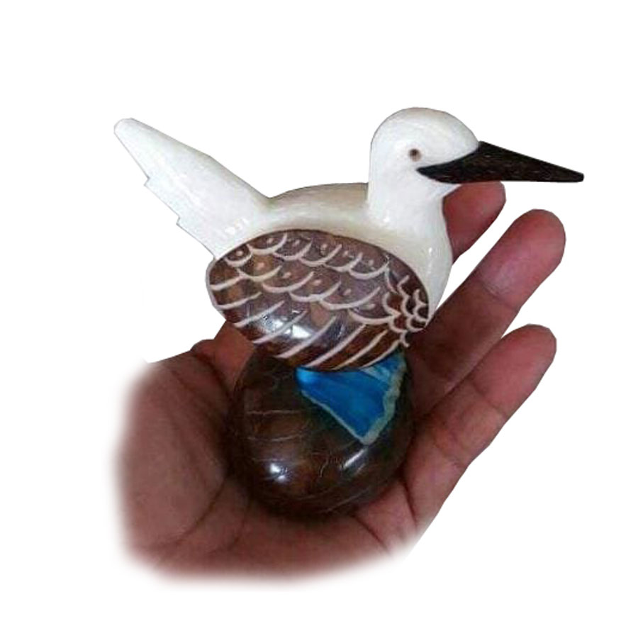Shop product image
