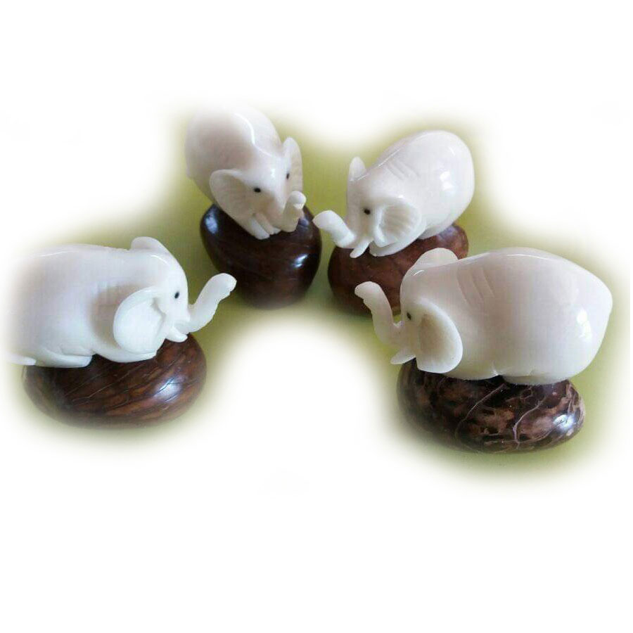 Shop product image
