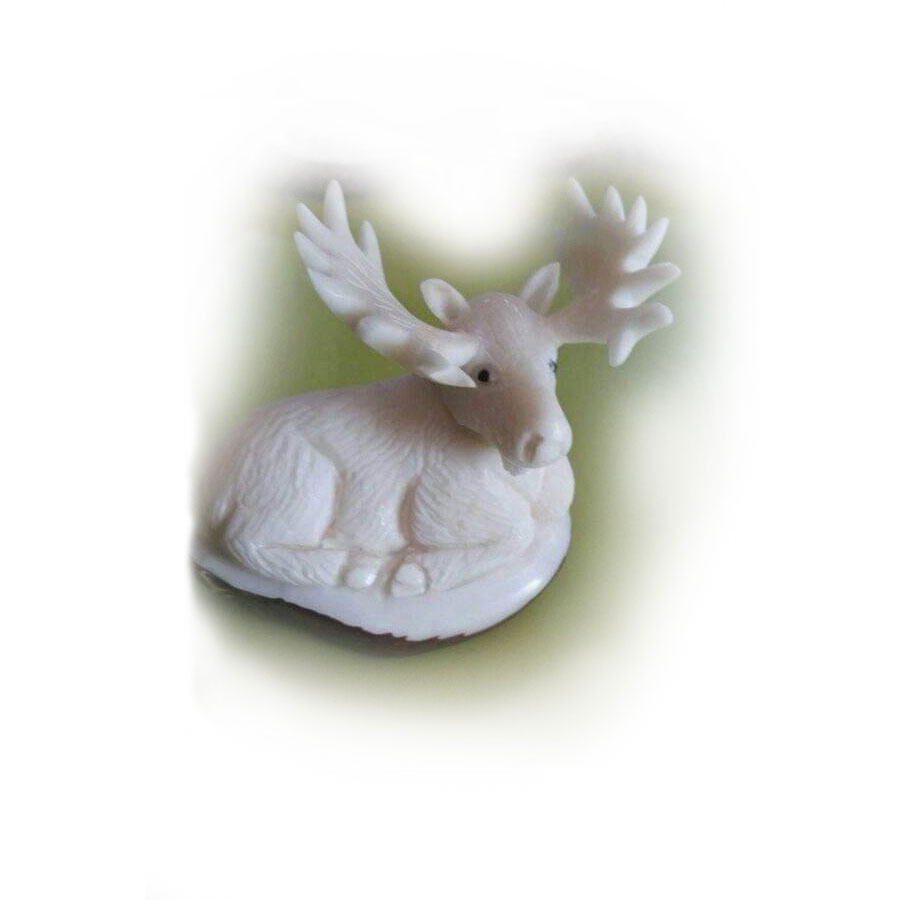 Shop product image
