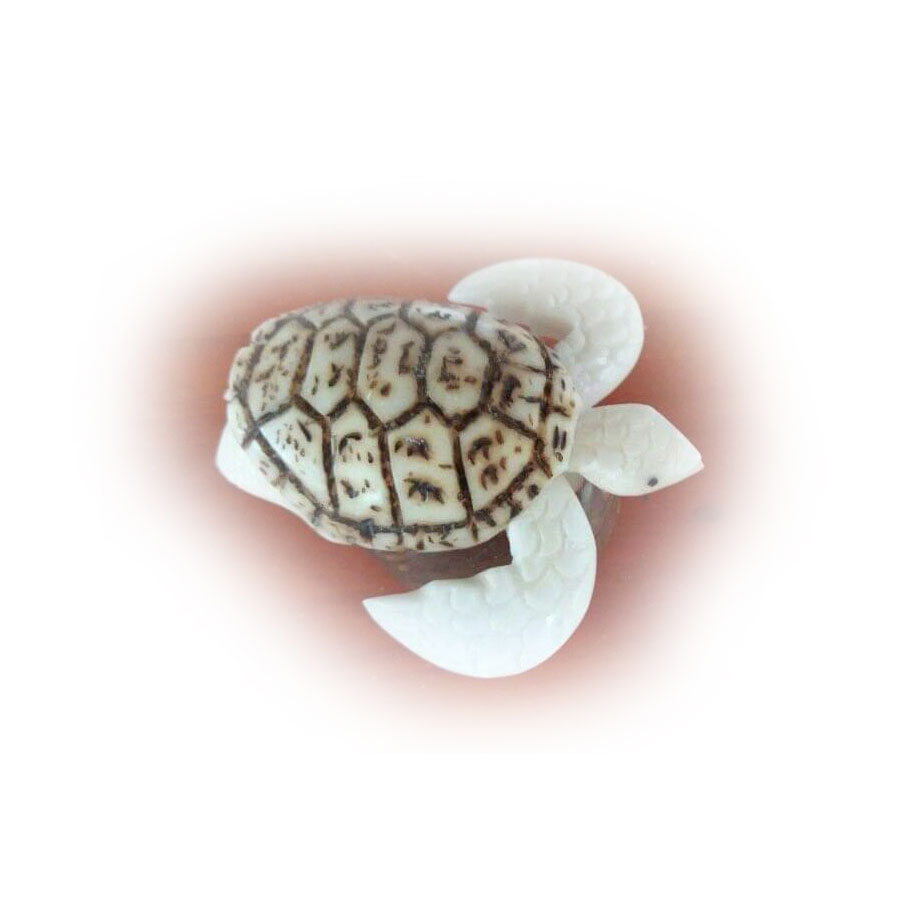 Shop product image