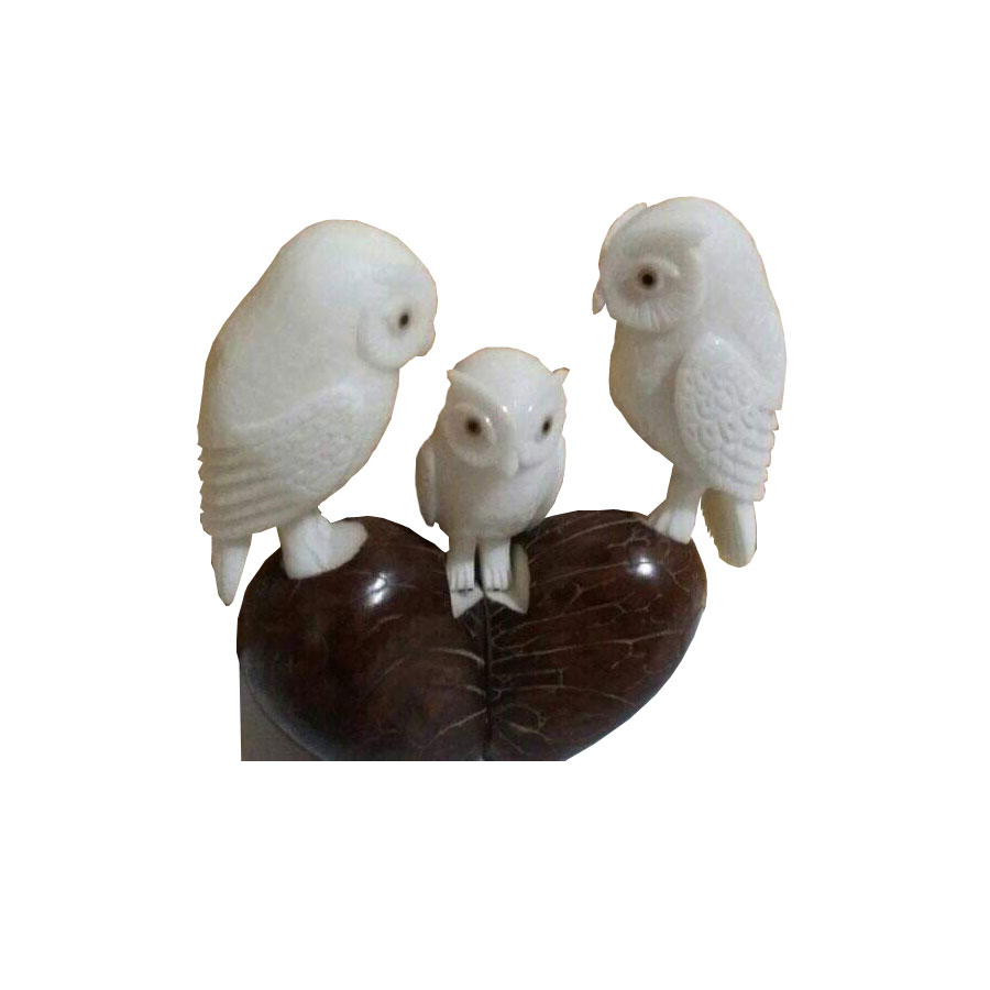 Shop product image