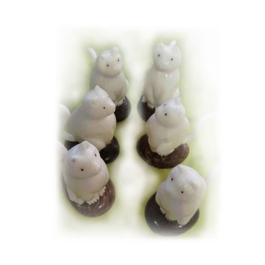 Shop product image