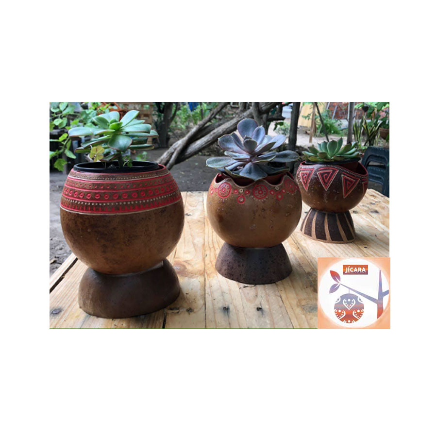 Shop product image